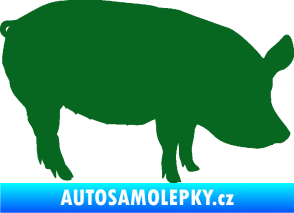 Samolepka Prase 001 pravá tmavě zelená