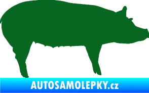Samolepka Prase 002 pravá tmavě zelená