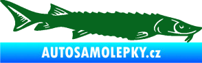 Samolepka Ryba 020 pravá jeseter tmavě zelená