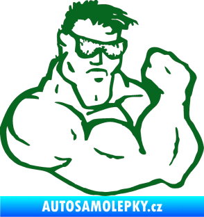 Samolepka Svalovec pravá tmavě zelená