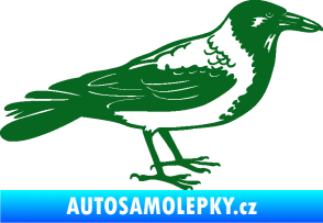 Samolepka Vrána 001 pravá tmavě zelená