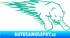 Samolepka Animal flames 020 pravá puma tyrkysová