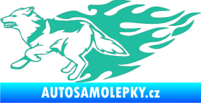 Samolepka Animal flames 090 levá vlk tyrkysová