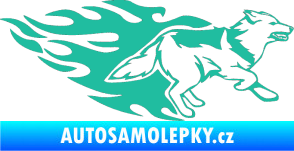 Samolepka Animal flames 090 pravá  vlk tyrkysová