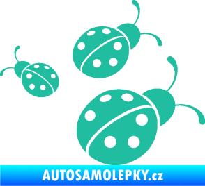 Samolepka Berušky 001 pravá tyrkysová