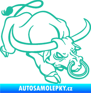 Samolepka Býk 014 pravá rozzuřený tyrkysová