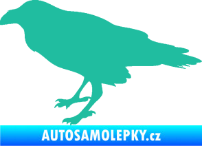 Samolepka Havran 001 levá tyrkysová