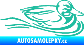 Samolepka Kachna 003 pravá ve vodě tyrkysová