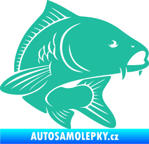 Samolepka Kapr 008 pravá tyrkysová