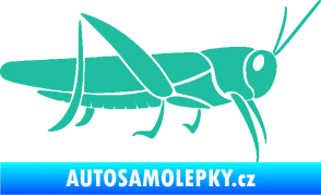 Samolepka Kobylka 002 pravá tyrkysová