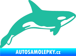 Samolepka Kosatka 001 pravá tyrkysová