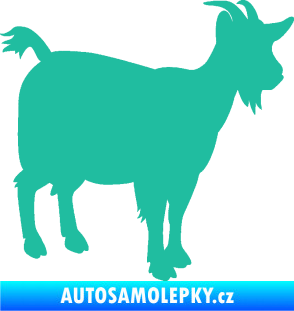 Samolepka Koza 001 pravá tyrkysová