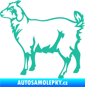 Samolepka Koza 002 levá tyrkysová