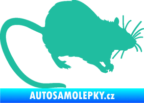 Samolepka Krysa 002 pravá tyrkysová