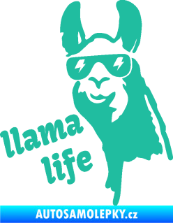 Samolepka Lama 004 llama life tyrkysová