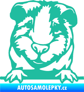 Samolepka Morče 004 levá tyrkysová