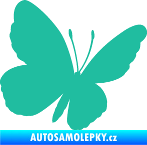 Samolepka Motýl 009 pravá tyrkysová