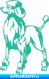 Samolepka Pes 014 levá Pudl tyrkysová