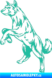 Samolepka Pes 025 levá tyrkysová