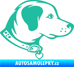 Samolepka Pes 058 pravá tyrkysová