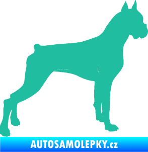 Samolepka Pes 087 pravá Boxer tyrkysová