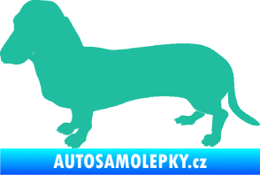 Samolepka Pes 094 levá Baset tyrkysová