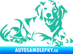 Samolepka Pes 106 pravá Retrívr tyrkysová