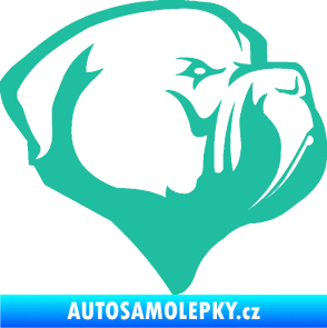 Samolepka Pes 116 pravá pitbull tyrkysová