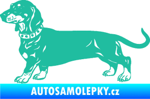 Samolepka Pes 122 levá jezevčík tyrkysová