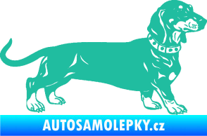 Samolepka Pes 122 pravá jezevčík tyrkysová