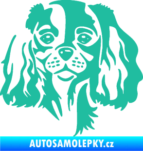 Samolepka Pes 132 pravá Cavalier king Charles spaniel tyrkysová