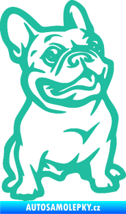 Samolepka Pes 139 pravá francouzský buldoček tyrkysová