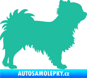 Samolepka Pes 156 pravá čivava tyrkysová