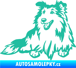 Samolepka Pes 162 levá sheltie tyrkysová