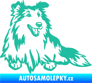 Samolepka Pes 162 pravá sheltie tyrkysová