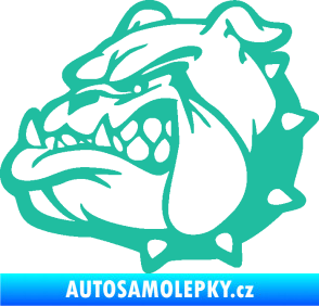 Samolepka Pes 174 levá rozzuřený buldok tyrkysová