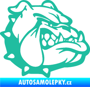 Samolepka Pes 174 pravá rozzuřený buldok tyrkysová