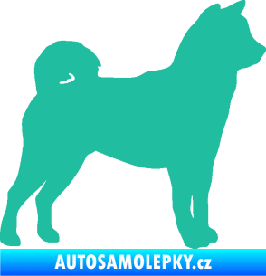 Samolepka Pes 191 pravá Shiba - Inu tyrkysová