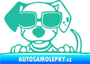 Samolepka Pes s brýlemi 101 levá v autě tyrkysová