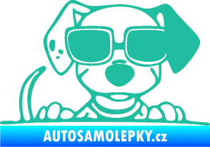 Samolepka Pes s brýlemi 101 pravá v autě tyrkysová