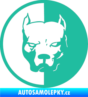 Samolepka Pitbull 001 kruh pravá tyrkysová