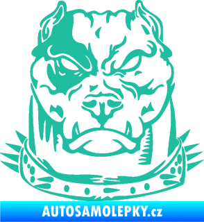 Samolepka Pitbull hlava 005 pravá tyrkysová