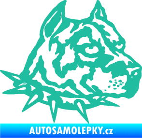 Samolepka Pitbull hlava 006 pravá tyrkysová
