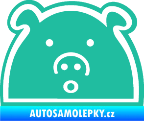 Samolepka Prasátko JDM styl tyrkysová