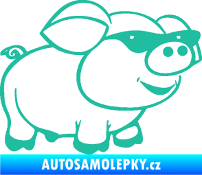 Samolepka Prase 006 pravá frajer v brýlích tyrkysová