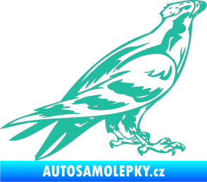 Samolepka Predators 006 pravá tyrkysová