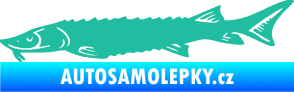 Samolepka Ryba 020 levá jeseter tyrkysová