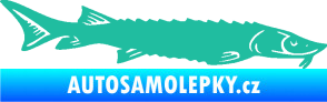 Samolepka Ryba 020 pravá jeseter tyrkysová