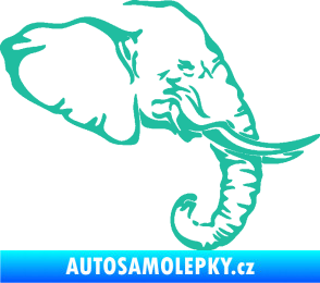 Samolepka Slon 030 pravá hlava tyrkysová