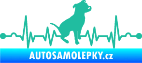 Samolepka Srdeční tep 007 pravá pitbull tyrkysová